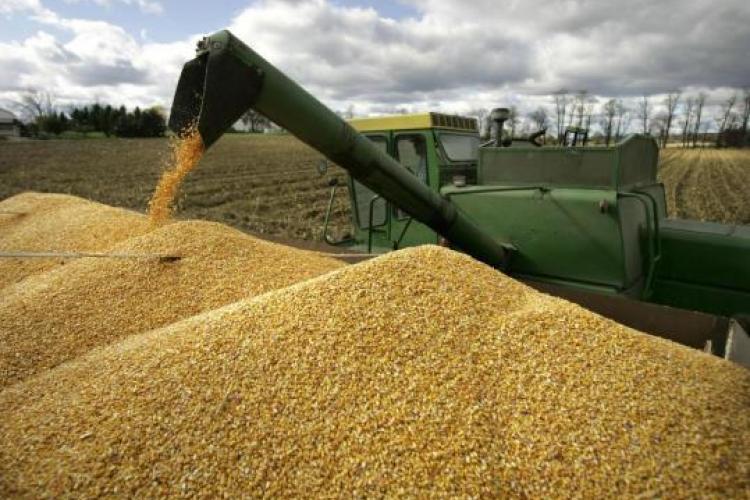 Россия втрое нарастила поставки зерна на азербайджанския рынок